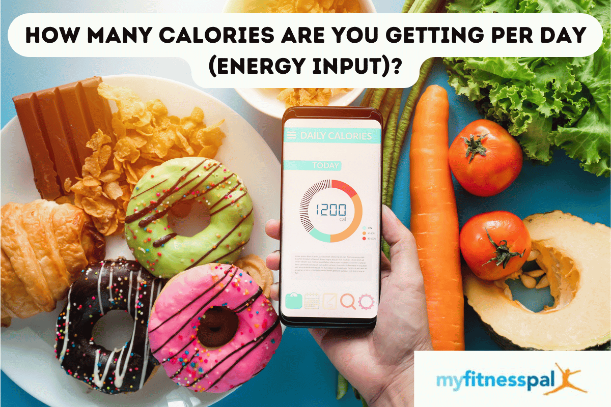 How many calories are you getting per day energy input