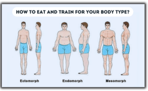 Read more about the article How to eat and train for your body type?