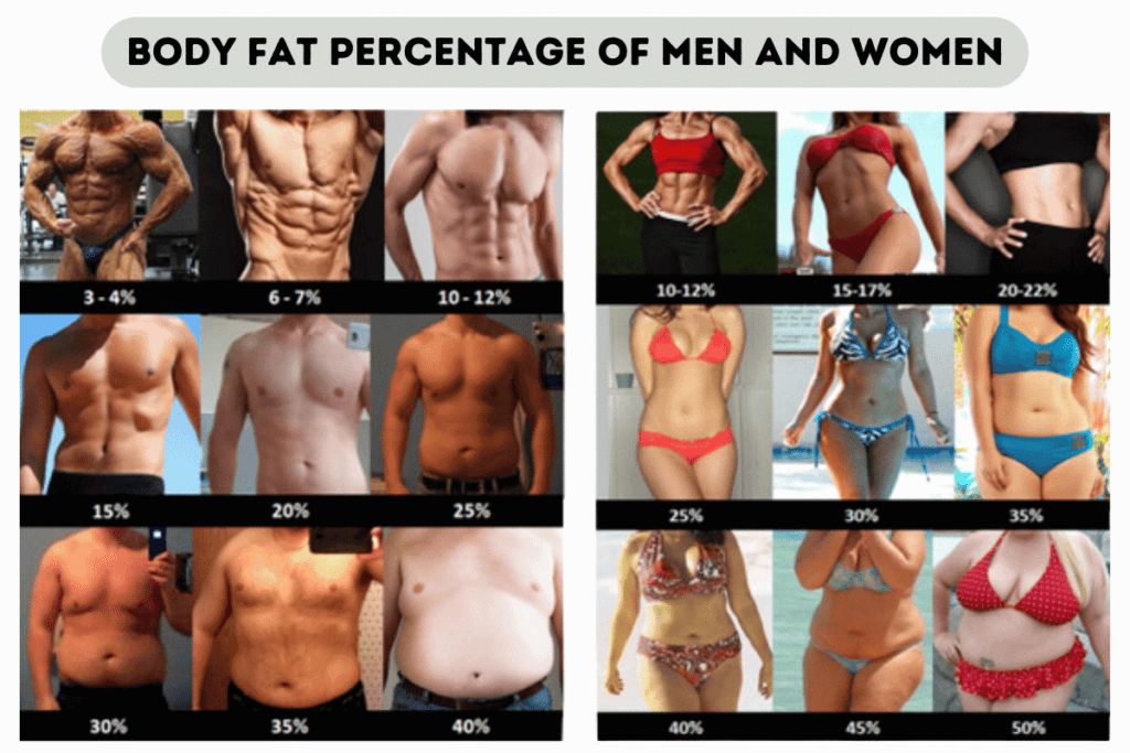 Body fat percentage.