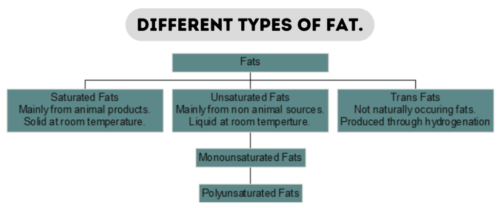 Different types of fat