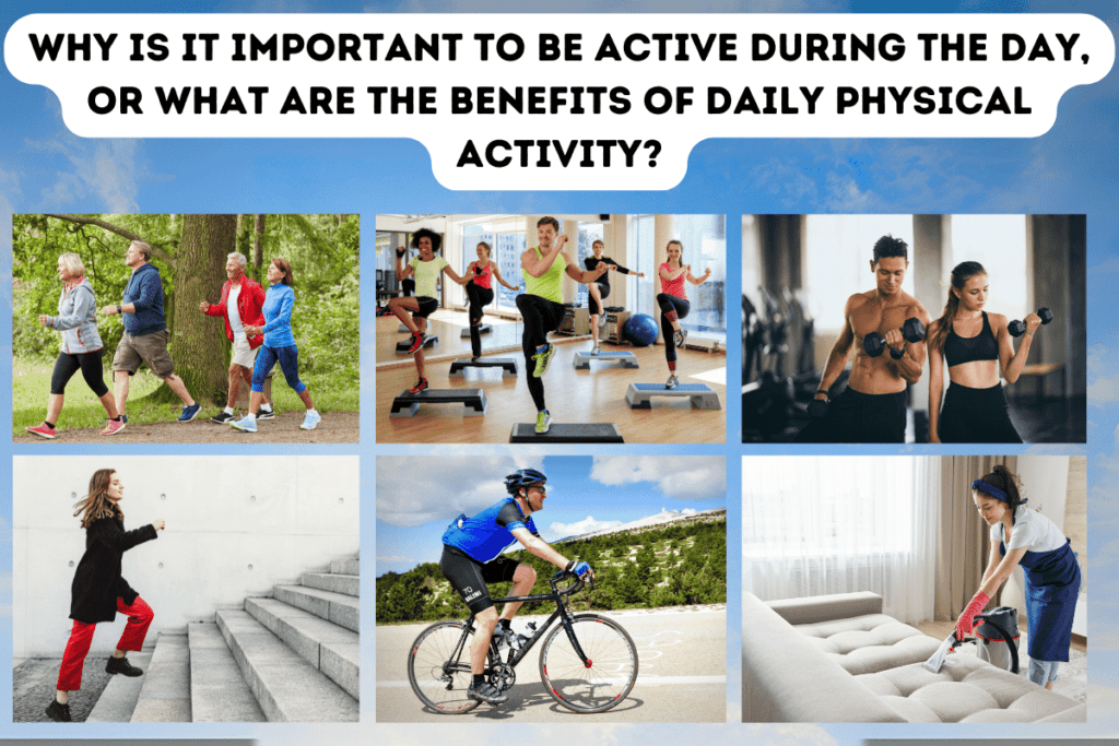 Why is it important to be active during the day, or what are the benefits of daily physical activity