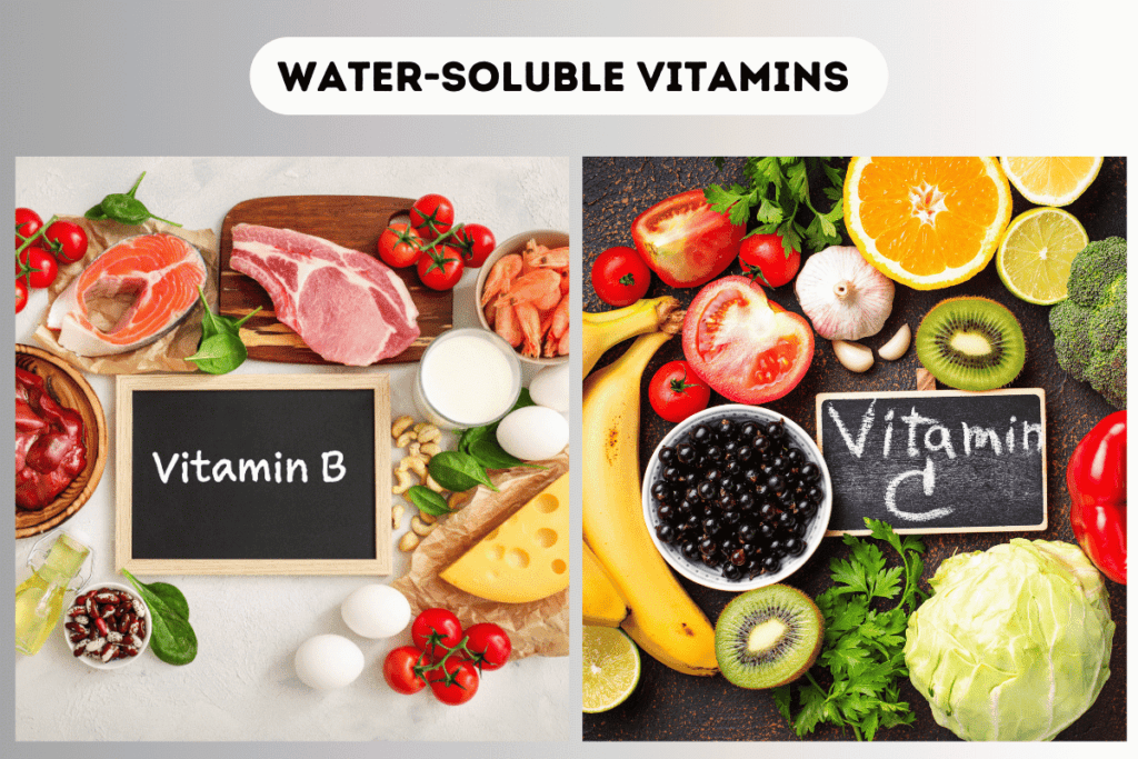 water soluble vitamins